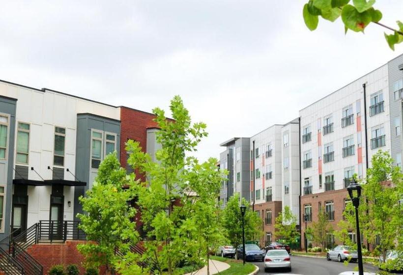 Modern 1bd Studio Apt In Plaza Midwood With Community Pool