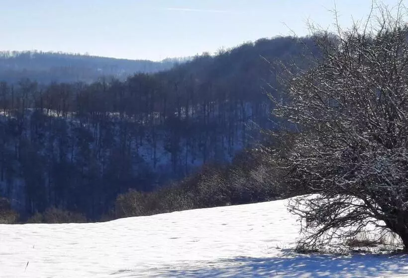 Ferienwohnung Weitsicht