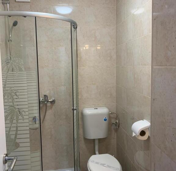 פנסיון Casa Roa