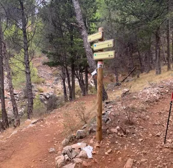 Central Apartment With A View