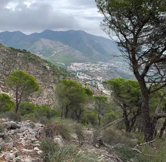 Central Apartment With A View