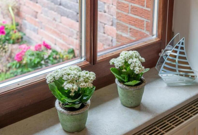 Gulfhof Alt Addenhausen