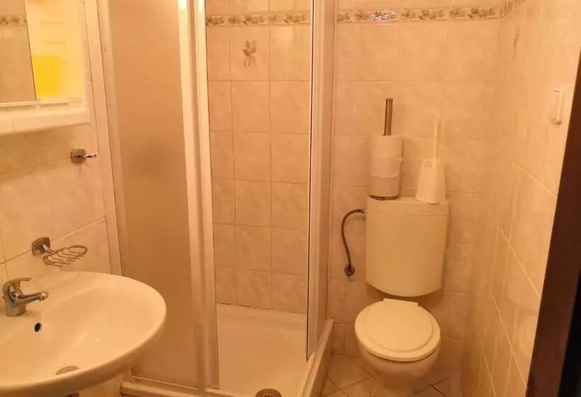 ペンション Apartmány V Centru U Moravců