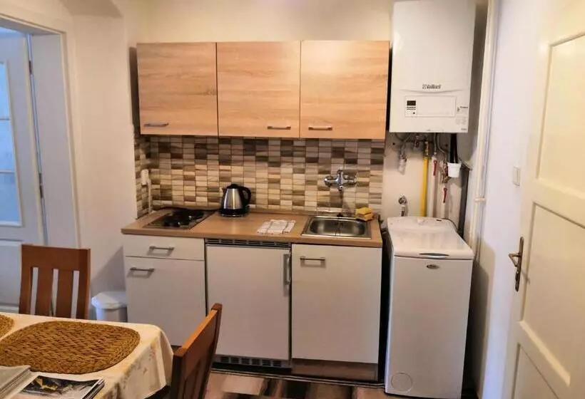 ペンション Apartmány V Centru U Moravců