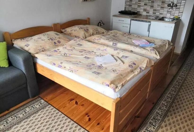 ペンション Apartmány V Centru U Moravců