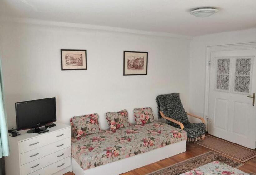 Pension Apartmány V Centru U Moravců