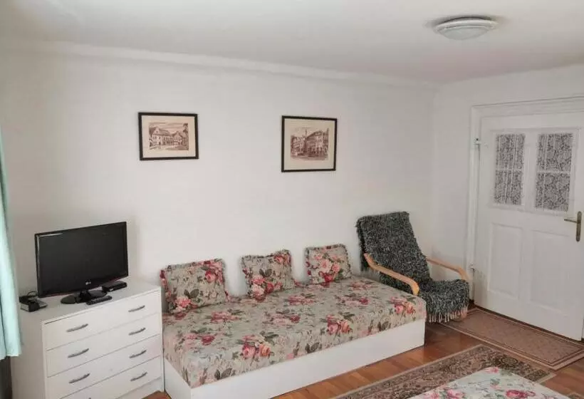 ペンション Apartmány V Centru U Moravců