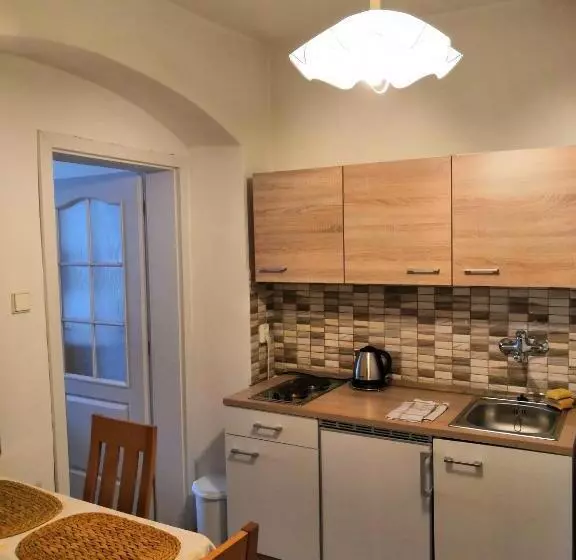 ペンション Apartmány V Centru U Moravců