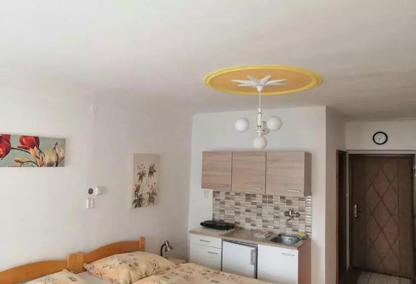 ペンション Apartmány V Centru U Moravců