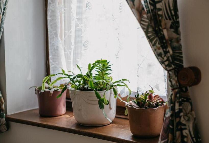 펜션 Hemina Vendégház