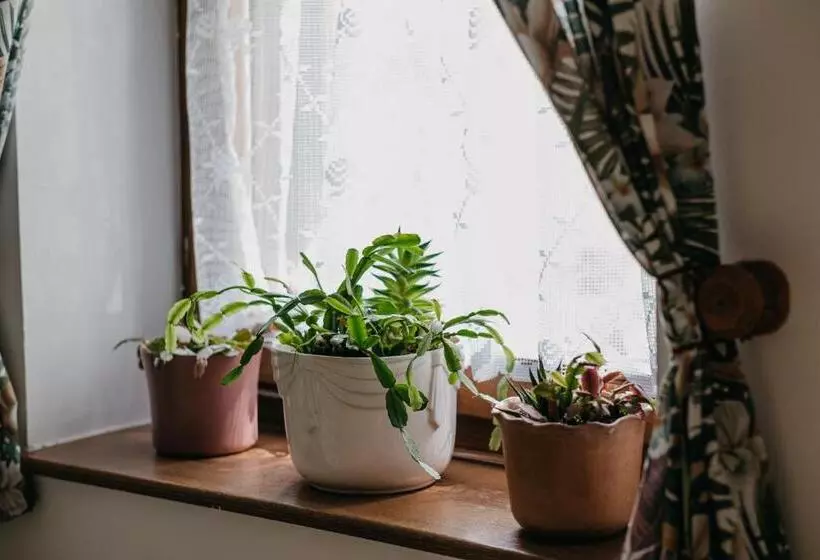 Majatalo Hemina Vendégház