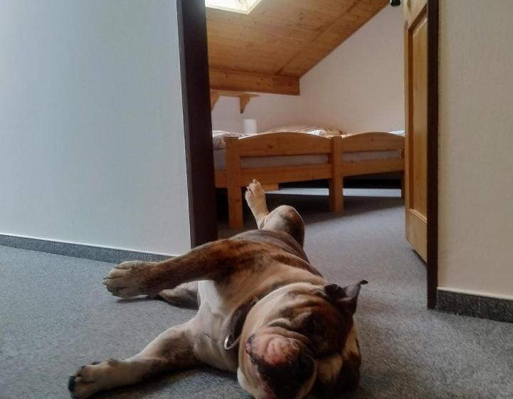 Пансион Na Hrázi