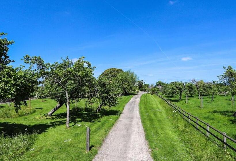 Windmill Flower Barn