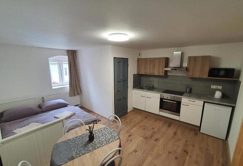 Apartmány černý Kohout