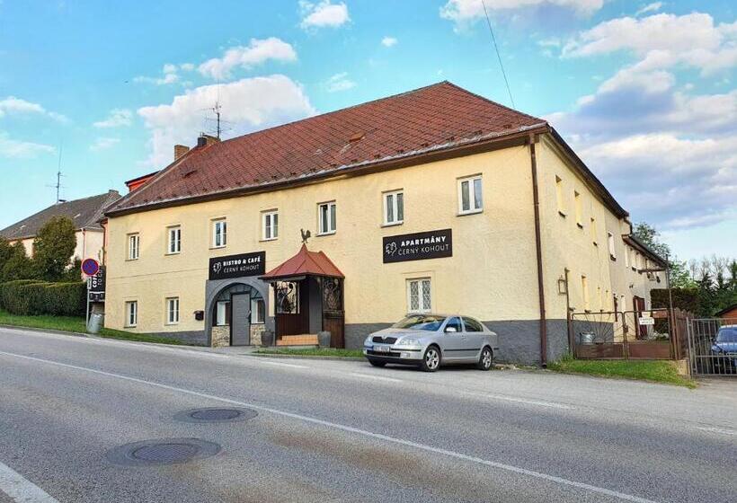 Apartmány černý Kohout