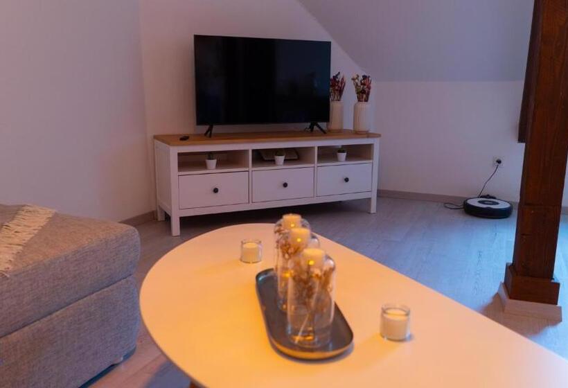 City Apartment Wertheim