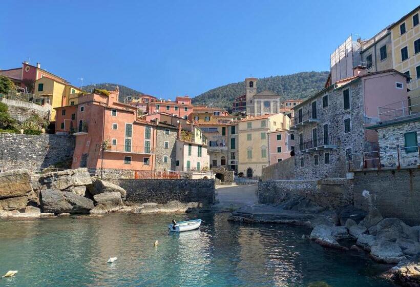 Il Nido Di Chloe Cod. Citra 011027 Lt 0239