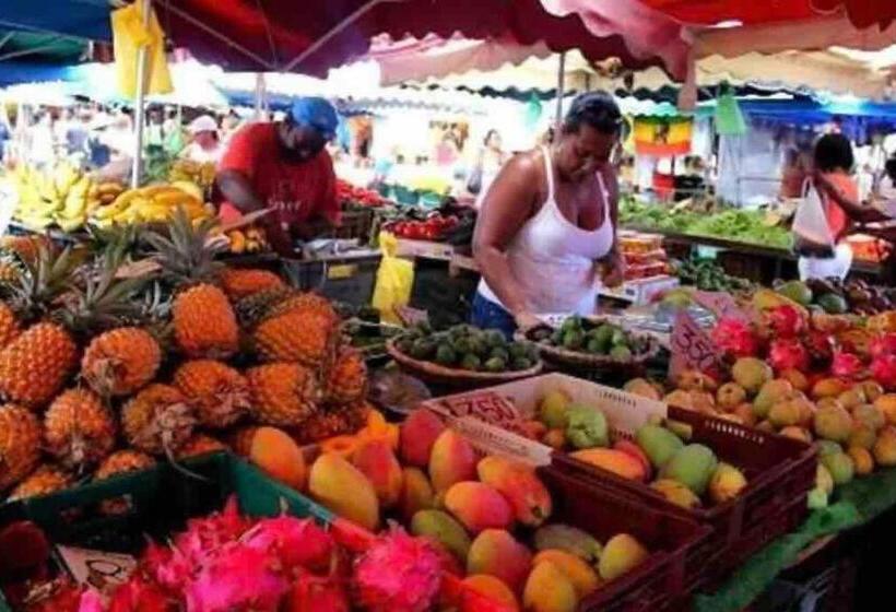 Leu Flamboyant Appartement 2 Pièces