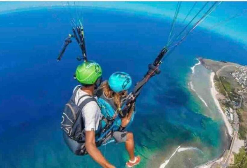 Leu Flamboyant Appartement 2 Pièces