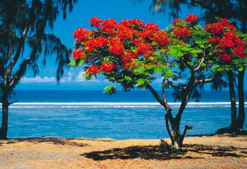 Leu Flamboyant Appartement 2 Pièces