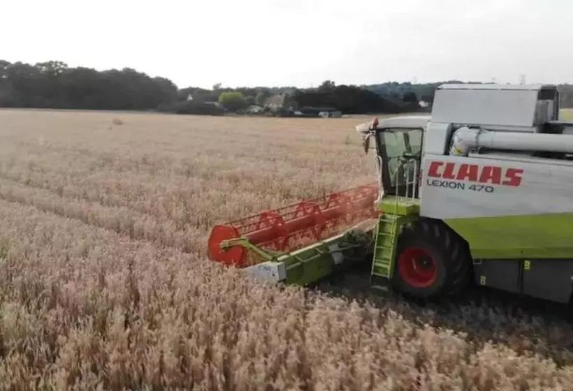 Luxury Retreat 30mins Taxi Ride From West London