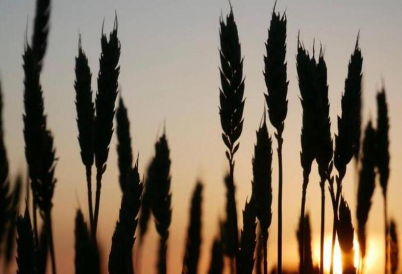 Luxury Retreat 30mins Taxi Ride From West London