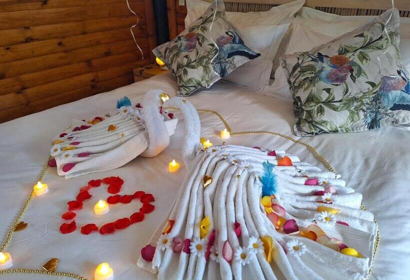 Windsong Living The Nest