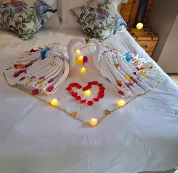 Windsong Living The Nest