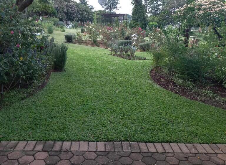 Windsong Living The Nest