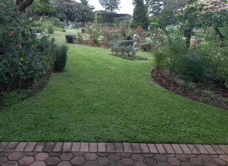 Windsong Living The Nest