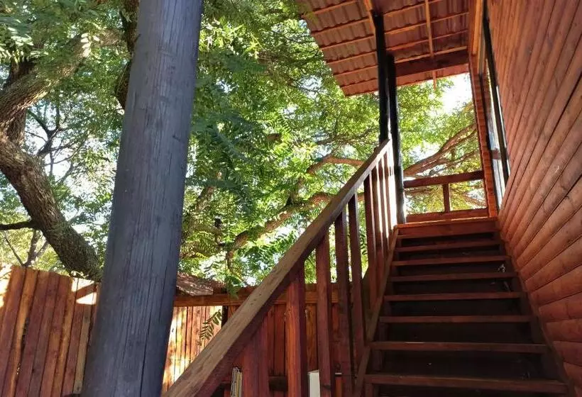 Windsong Living The Nest