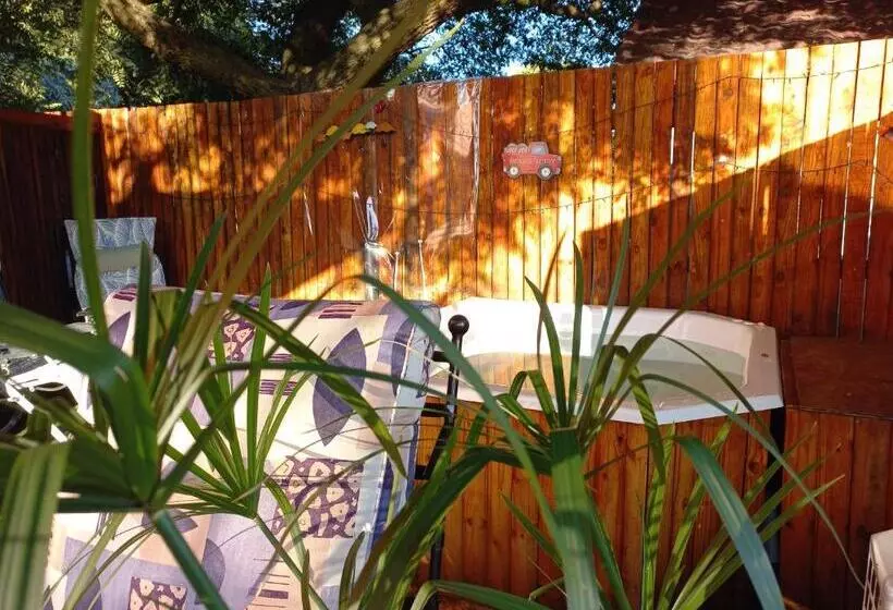 Windsong Living The Nest