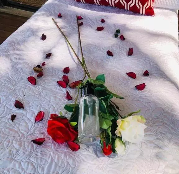 Windsong Living The Nest