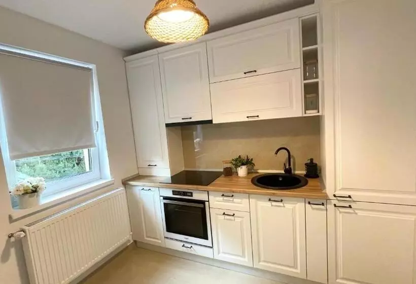 Apulum Apartment