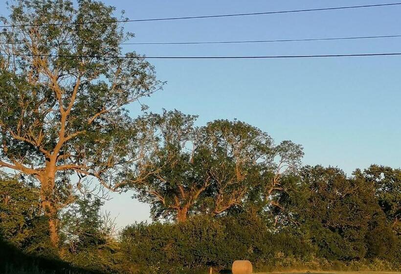 Bed and Breakfast Les Hirondelles Bleues