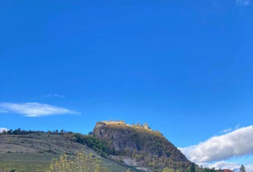 Wohlfühlwohnung Mit Parkplatz, Zentral, Schnelles Wlan, Bodensee & Schweiz Nähe