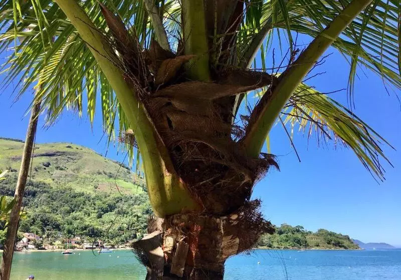 Hotel Rede Reserva Bromélias