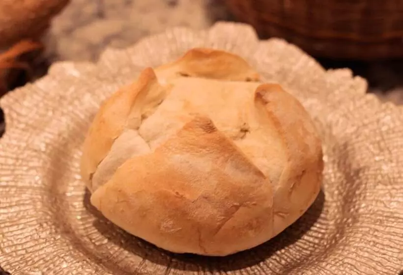 ユースホステル Pousada Capim Limao