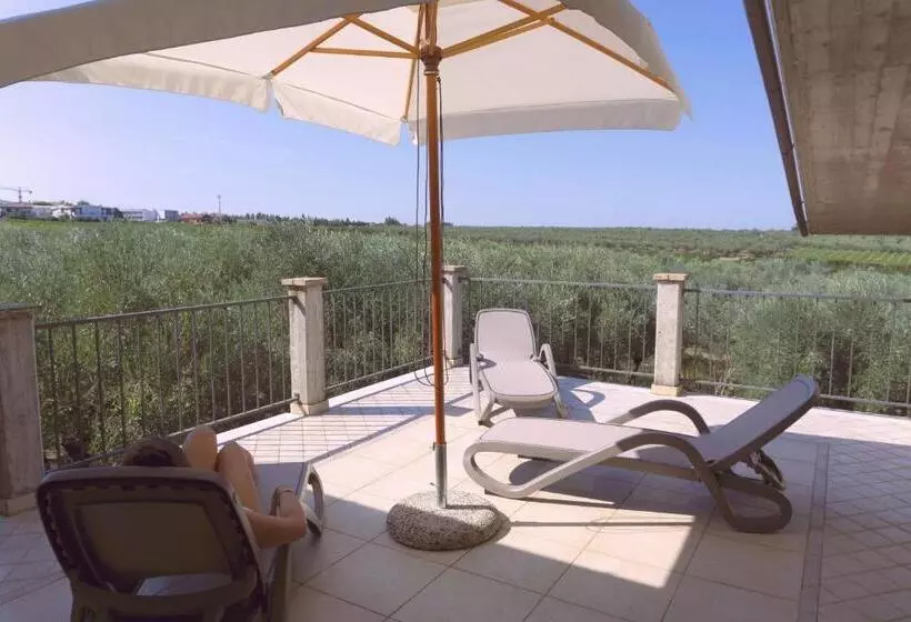 B&b Tra Gli Ulivi