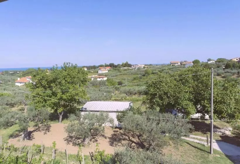 B&b Tra Gli Ulivi
