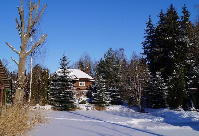 هتل Meškių Dvarkiemis