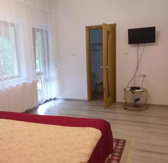 Pensiunea Gură De Rai, Pojorâta