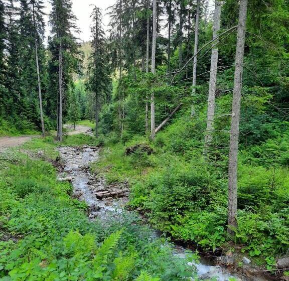 Pensiunea Gură De Rai, Pojorâta