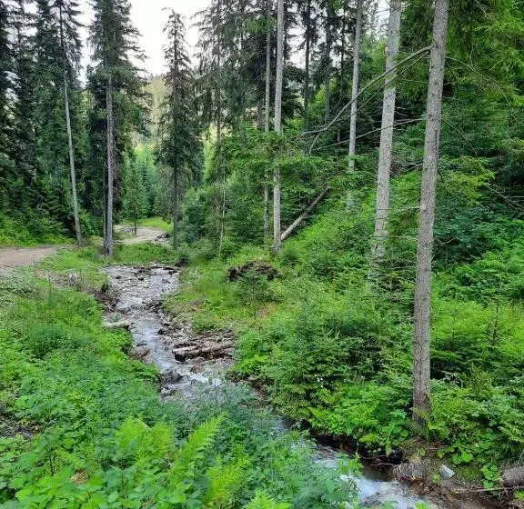 Pensiunea Gură De Rai, Pojorâta