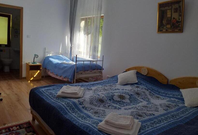 Pensiunea Gură De Rai, Pojorâta