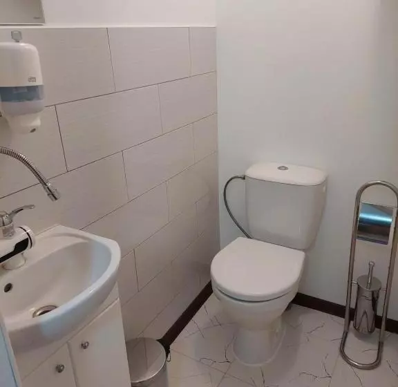 Lapių Ola