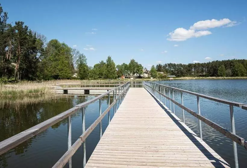 Lapių Ola