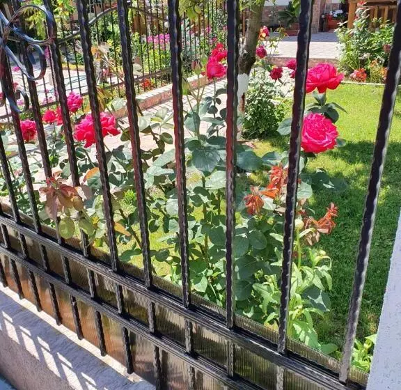 Pensiunea Cireșul Alb