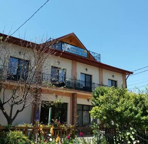 Pensiunea Cireșul Alb