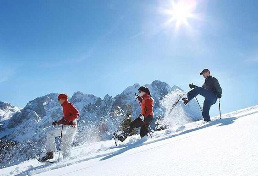 Apartment Goisernperle